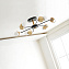Люстра ImperiumLOFT Jx 204241-26 360Вт 6 лампочек E27
