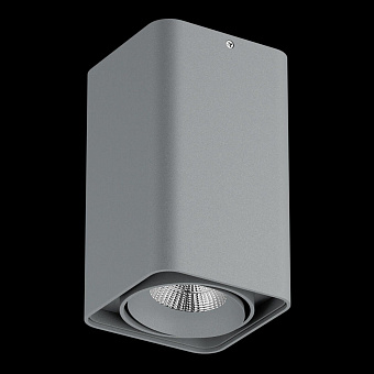 Светильник точечный накладной Lightstar Monocco 212539 50Вт GU10/GU5.3