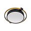 Светильник потолочный Loft It Mike 10169 32Вт LED