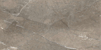 Настенная плитка Global Tile Siluet GT GT122VG коричневый 25х50см 1,375кв.м. глянцевая