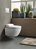 Унитаз с функцией биде GEBERIT Tuma Comfort 146.294.SI.1 с микролифтом