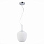 Светильник подвесной ST Luce CESARE SL1168.103.01 40Вт E27
