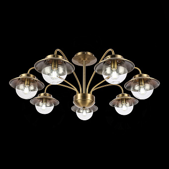 Люстра Evoluce GARONNI SLE110102-07 40Вт 7 лампочек E14