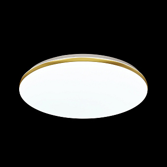 Светильник настенно-потолочный Sonex Lassa 3043/DL 48Вт LED
