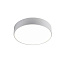 Светильник потолочный Favourite Flashled 2065-24C 24Вт LED