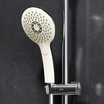 Ручной душ AM-PM Inspire V2.0 F0250A000 хром