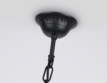 Светильник архитектурный Ambrella Garden ST2029 40Вт IP54 E27 прозрачный/чёрный