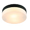 Светильник потолочный Arte Lamp AQUA-TABLET A6047PL-2BK 60Вт E27