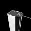 Стеклянная шторка на ванну RADAWAY Torrenta PND II 100 L 150х100см