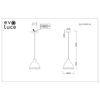 Светильник подвесной Evoluce BACCHI SLE114703-01 60Вт E27