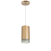 Светильник настенно-потолочный Lightstar Rullo RP440130 50Вт GU10