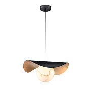 Светильник подвесной Vele Luce Aronos VL5734P11 60Вт E27