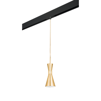 Трековый светильник Lightstar Dumo PRO816011 40Вт E14 золото для однофазного трека