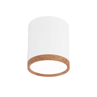 Светильник точечный накладной Elektrostandard a040548 DLR024 6Вт LED