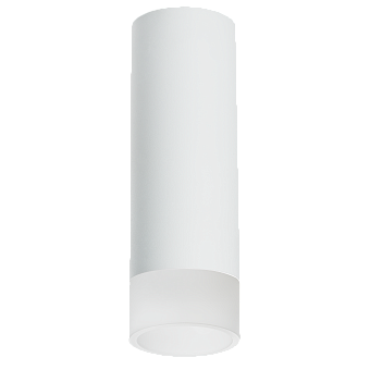 Светильник настенно-потолочный Lightstar Rullo R48631 50Вт GU10