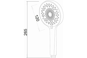 Ручной душ ESKO SSP120 хром