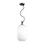 Светильник подвесной Odeon PENDANT 4751/1 60Вт E27