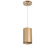 Светильник настенно-потолочный Lightstar Rullo RP4401 50Вт GU10
