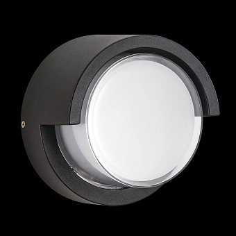 Светильник фасадный Lightstar Paletto 382174 15Вт IP54 LED чёрный