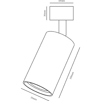 Трековый светильник Arte Lamp RIDGE A1518PL-1BK 35Вт GU10 прозрачный для однофазного трека