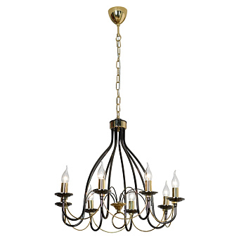 Люстра подвесная Lussole TODI LSA-4613-08 320Вт 8 лампочек E14