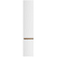 Пенал подвесной AM-PM X-Joy M85ACHR0306WG 32х30х166см белый