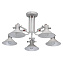 Люстра потолочная MW-light Таун 691010705 25Вт 5 лампочек E14