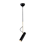 Светильник подвесной ImperiumLOFT Сamera 155002-60 5Вт GU10