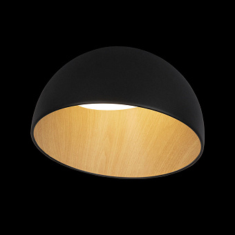Светильник потолочный Loft It Egg 10197/350 Black 24Вт LED