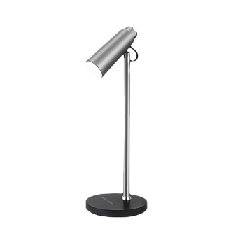 Настольная лампа Elektrostandard Joel a048901 TL70190 5Вт LED