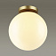 Светильник настенно-потолочный Odeon HIGHTECH 4248/1C 9Вт E27 LED