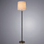 Торшер Arte Lamp RODOS A2589PN-1SS 60Вт E27