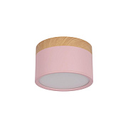 Светильник потолочный Loft It Grape 10162 Pink 12Вт LED