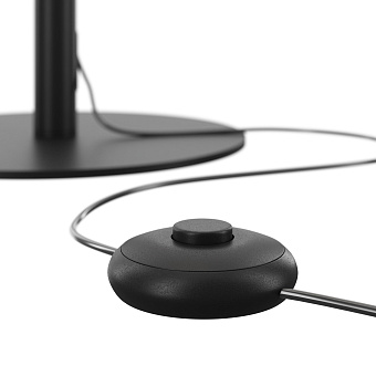 Торшер Maytoni Ray Z012FL-L18B3K 18Вт LED