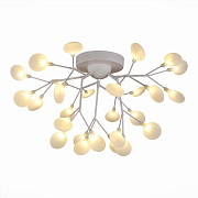 Светильник потолочный Evoluce AVOLA SLE250102-27 81Вт G4