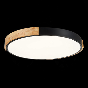 Светильник потолочный Evoluce DELIA SLE201342-01 40Вт LED