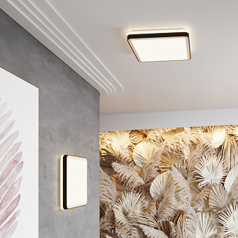 Светильник настенно-потолочный Sonex AKUNA 7621/DL 48Вт LED