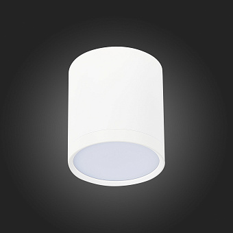 Светильник точечный накладной ST Luce RENE ST113.542.05 5Вт LED