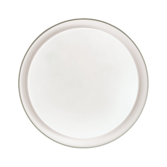 Светильник настенно-потолочный Sonex Bionic 3030/DL 48Вт LED