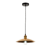 Светильник подвесной ST Luce ROMO SL1017.203.01 60Вт E27