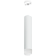 Светильник настенно-потолочный Lightstar Rullo RP49631 50Вт GU10