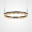 Светильник подвесной ImperiumLOFT Leontina 220271-23 55Вт LED