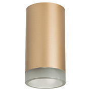 Светильник настенно-потолочный Lightstar Rullo R44030 50Вт GU10