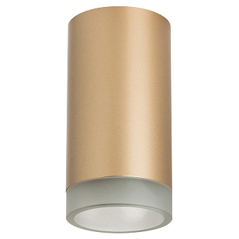 Светильник настенно-потолочный Lightstar Rullo R44030 50Вт GU10