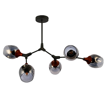 Люстра Evoluce CIOTOLLA SLE113402-05 60Вт 5 лампочек E27