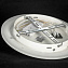 Светильник потолочный Lussole MOONLIGHT LSP-8463 30Вт LED