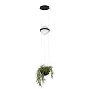 Светильник подвесной Loft It Jardin 10121/B 24Вт LED