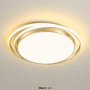 Светильник потолочный ImperiumLOFT Forsyte 167400-26 55Вт LED