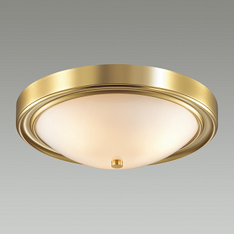 Светильник настенно-потолочный Lumion NINA 5259/3C 180Вт E27