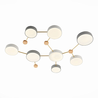 Светильник потолочный Evoluce DOSSENA SLE600102-08 132Вт LED